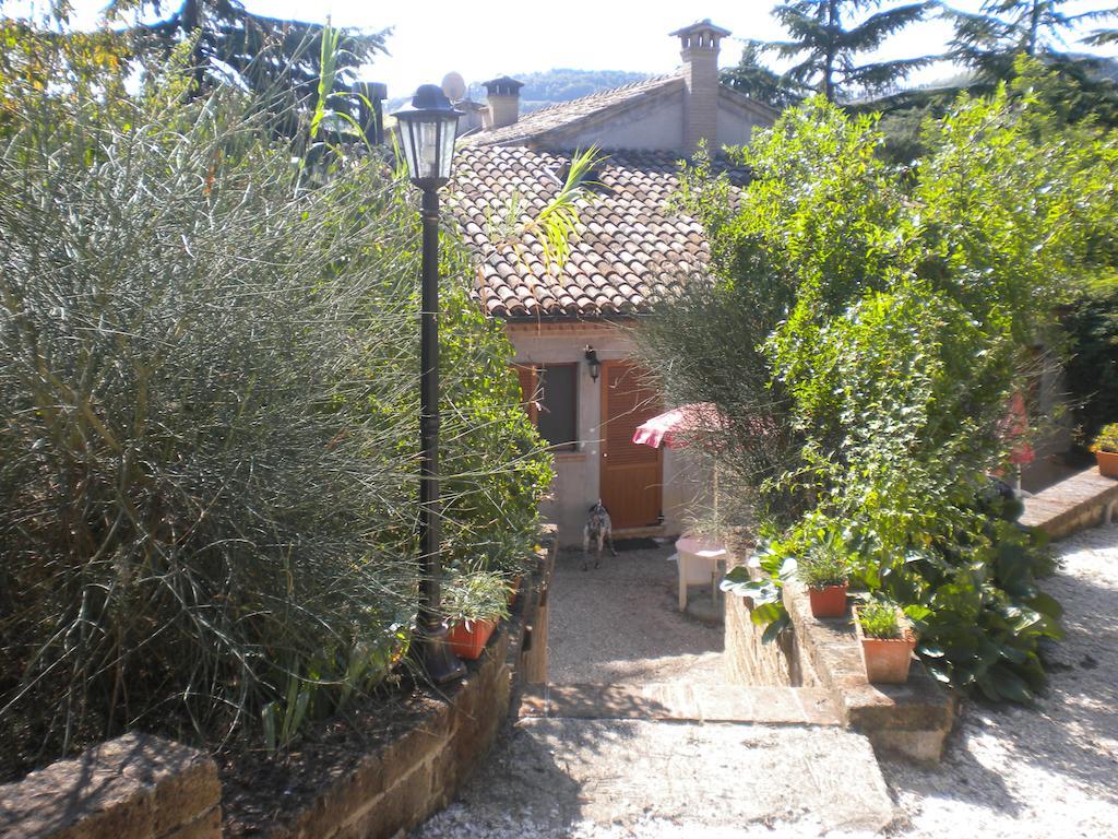 Agriturismo Le Vergare Offagna المظهر الخارجي الصورة